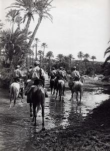 Sud Oranais Oasis Cliche Marc Flament
